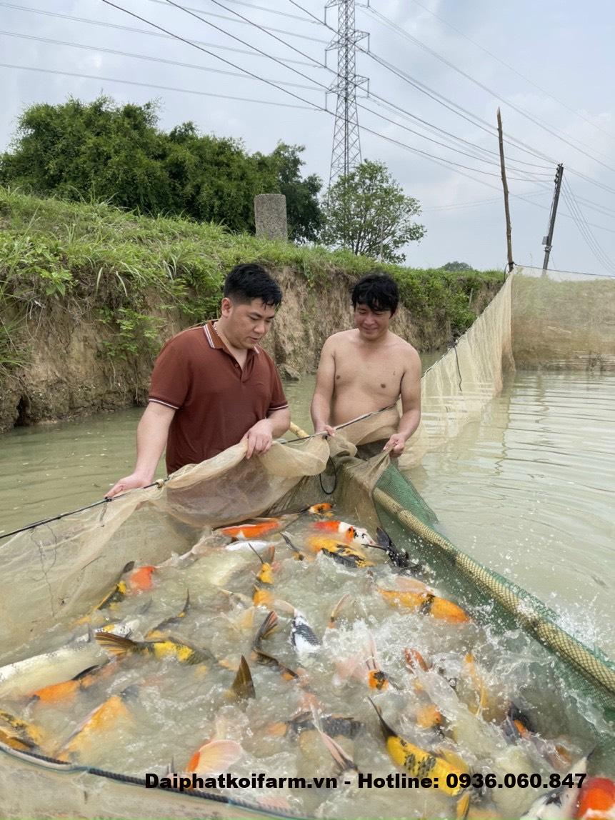 504e32b1dcf819a640e9