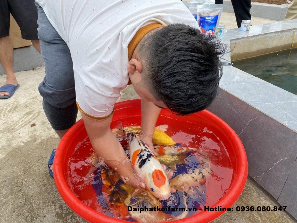 6bb4b3615d289876c139